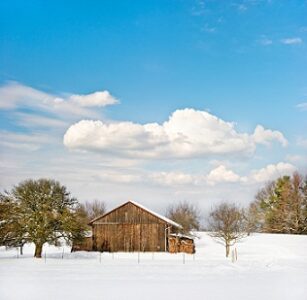 Getting Ready for Winter on the Farm Image